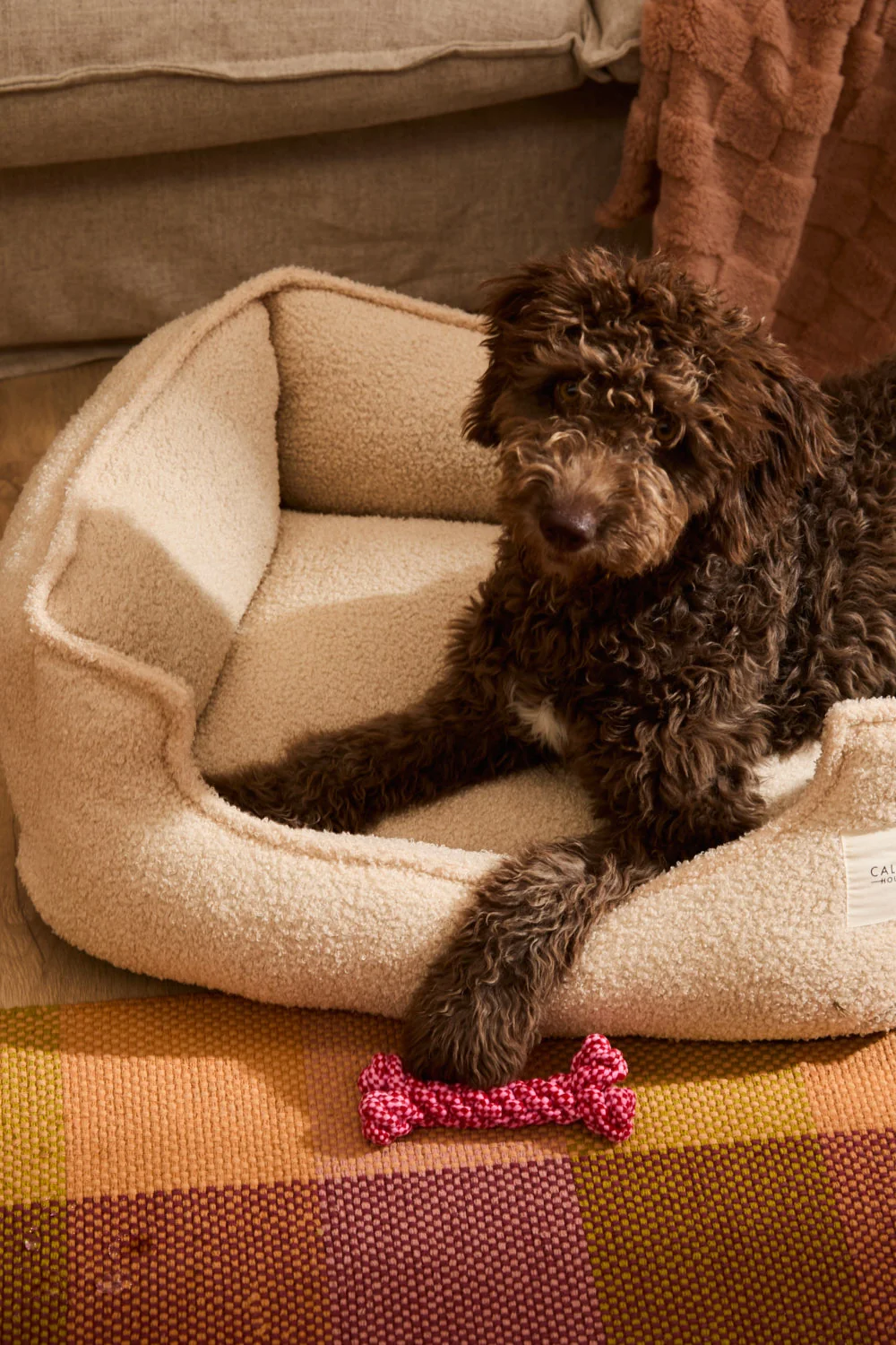 Cama desenfundable cruda para mascotas Taico - Image 14