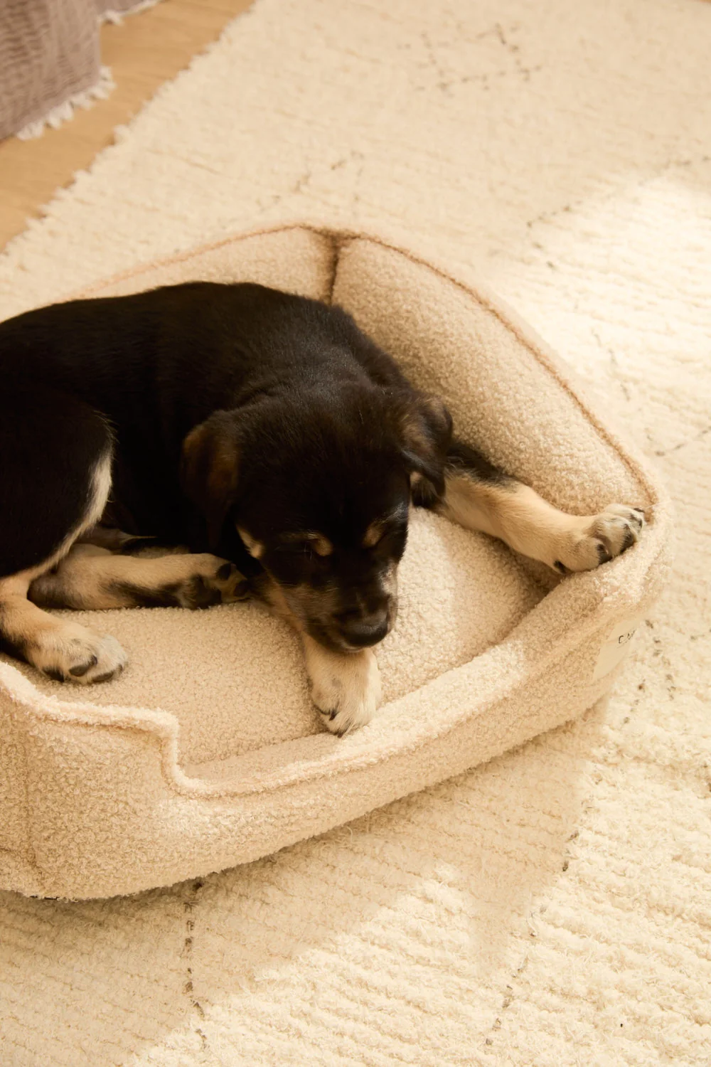 Cama desenfundable cruda para mascotas Taico - Image 2
