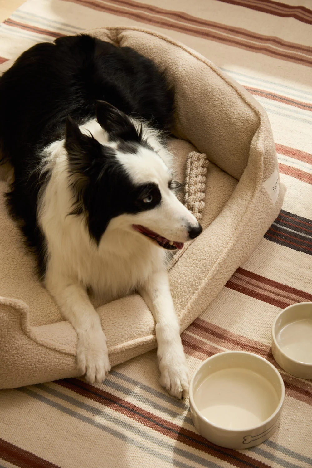 Cama desenfundable cruda para mascotas Taico - Image 24