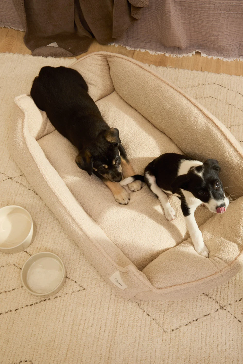 Cama desenfundable cruda para mascotas Taico - Image 25