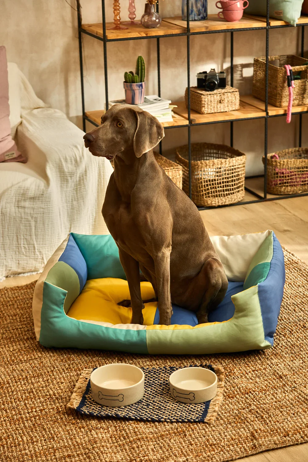 Cama turquesa para mascotas Buby - Image 20