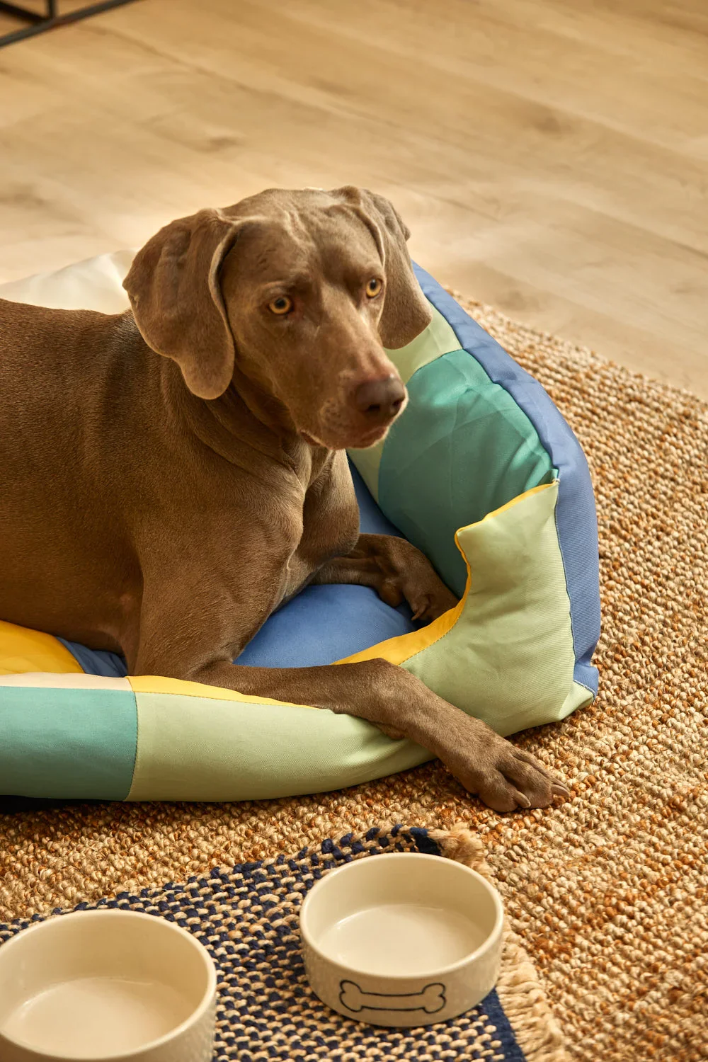 Cama turquesa para mascotas Buby - Image 21