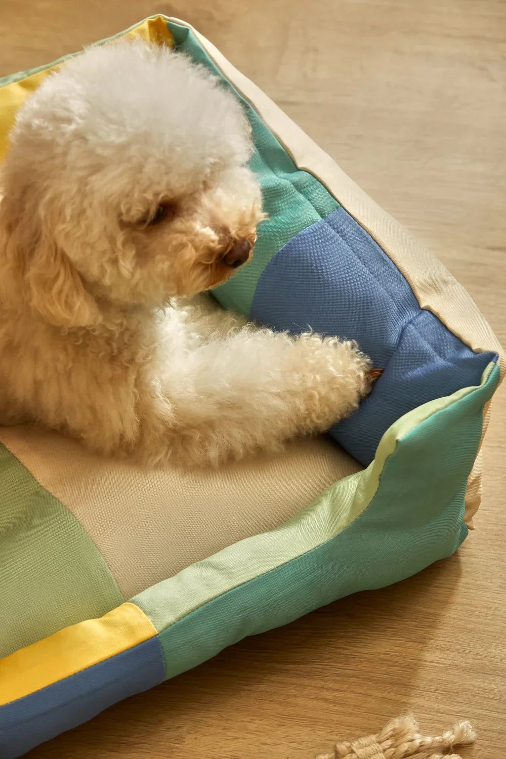 Cama turquesa para mascotas Buby - Image 8