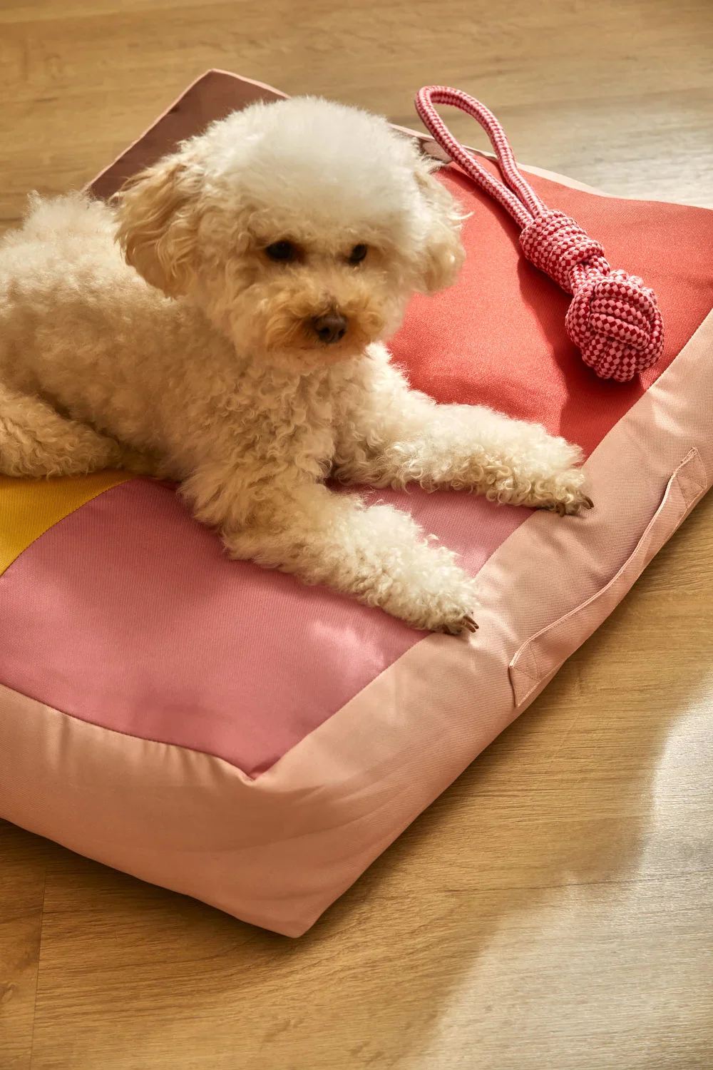 Cojín de suelo para mascotas rosa Buby - Image 9
