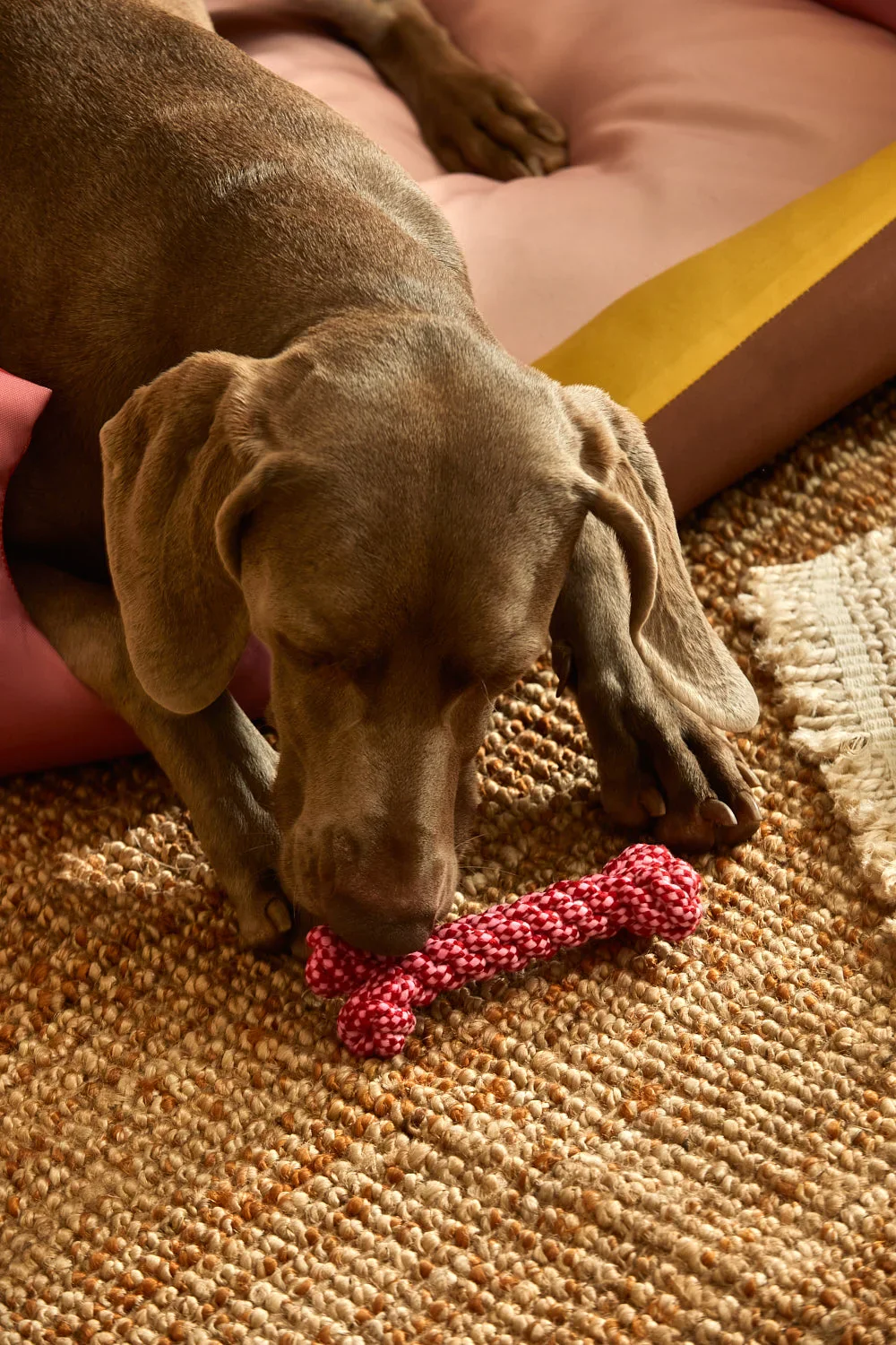 Juguete para mascotas hueso rosa Buby - Image 3