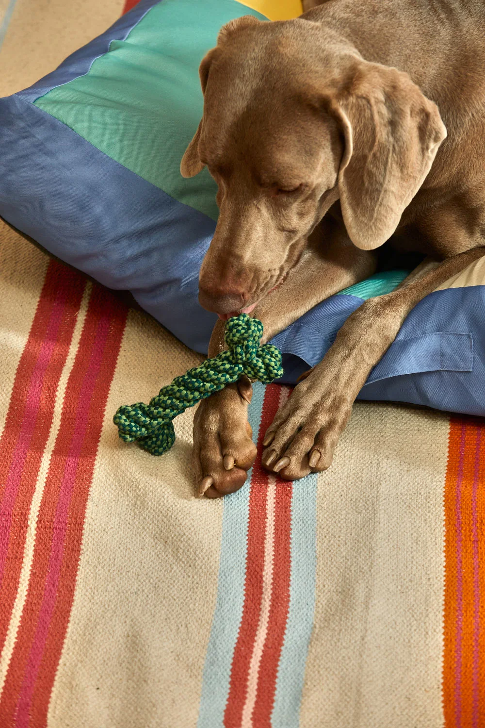 Juguete para mascotas hueso verde Buby - Image 3